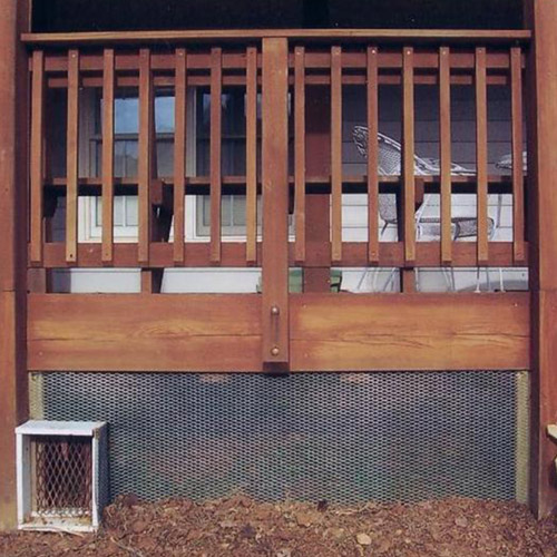 skunk-under-deck